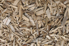biomass boilers Llandeilo